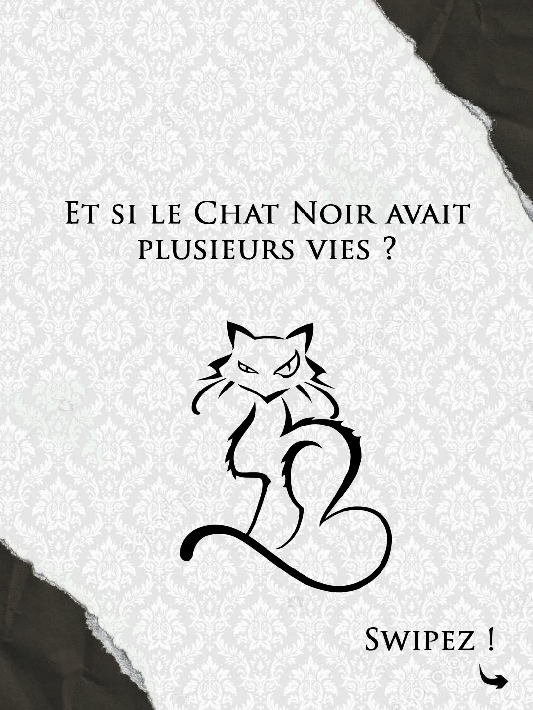 Les éditions du Chat Noir et le groupe éditorial Salomon annoncent un accord.